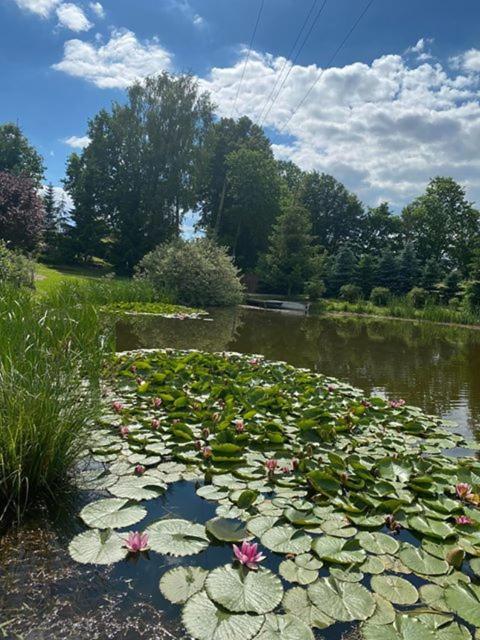 Ranczo Nad Stawem Villa Ryn  Bagian luar foto