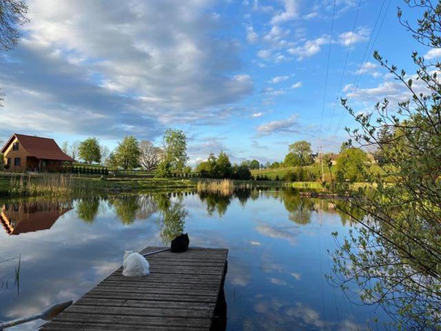 Ranczo Nad Stawem Villa Ryn  Bagian luar foto